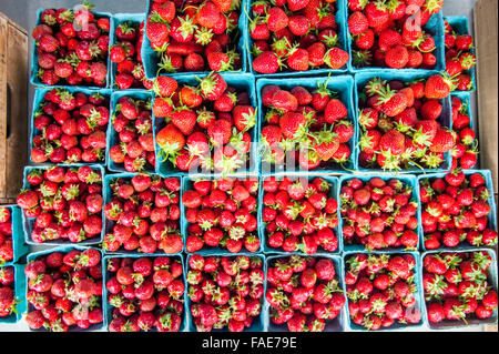 Stapel von lokal angebauten Erdbeeren Stockfoto