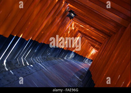 Meilen von roten Torii im Fushimi Inari-Taisha-Schrein in Kyoto Stockfoto