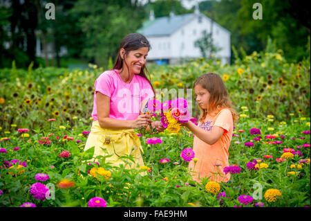 Frau und Tochter Blumenpflücken in einem Feld Stockfoto