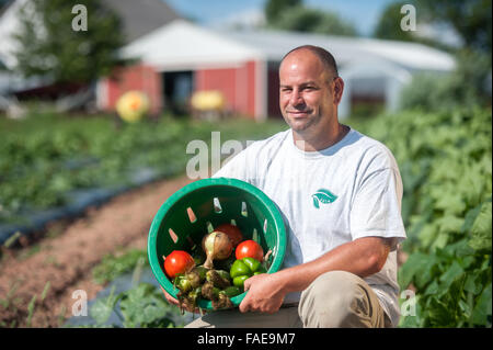 Bauer hält eine Kiste mit frisch gepflückten Produkte Stockfoto