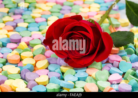Nahaufnahme von einer einzigen unberührten rot rose ruht in einem Haufen von Bonbons in Herzform. Valentinstag-Konzept. Selektiven Fokus auf Prüfstand Stockfoto