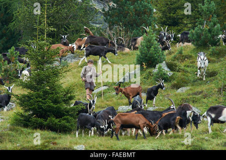 Heidi ist eine bevorstehende 2015 Schweizer Familie Film, basierend auf dem gleichnamigen Roman von Johanna Spyri. In den Hauptrollen Anuk Steffen in der Titelrolle neben Bruno Ganz, Katharina Schüttler, Quirin Agrippi, Isabelle Ottmann und Anna Schinz.  Dieses Foto ist nur zu redaktionellen Zwecken und unterliegen dem Copyright von der Filmgesellschaft und/oder der Fotograf von dem Film oder der Firma zugeordnet und kann nur durch Veröffentlichungen im Zusammenhang mit der Förderung der oben genannten Film reproduziert werden. Eine obligatorische Gutschrift auf die Filmgesellschaft ist erforderlich. Der Fotograf sollte auch angerechnet werden, wenn bekannt. Stockfoto