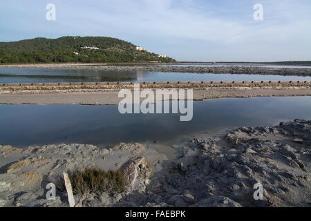 Ses Salines Querformat Ansicht im Dezember in Ibiza, Balearen, Spanien Stockfoto