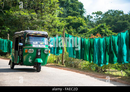 Motor-Rikscha in Anaradhapura in Sri Lanka und Zeile grün Wäsche Stockfoto