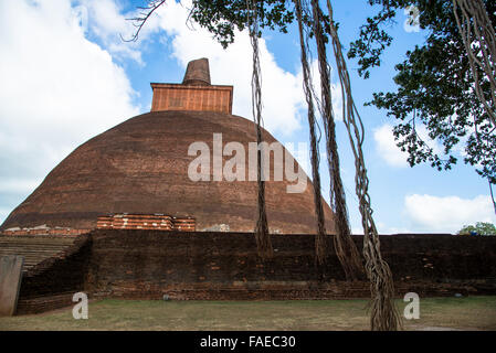 riesige Jethavana Stupa in Anaradhapura Sri lanka Stockfoto