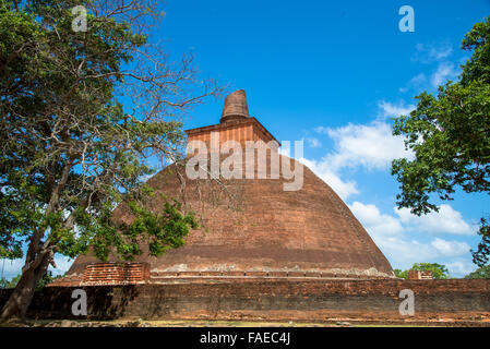 Jethavana-Stupa in Anaradhapura Sri lanka Stockfoto