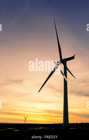 Windkraftanlage bei Sonnenuntergang, Whitelee Windpark in der Nähe von Glasgow, Scotland, UK Stockfoto