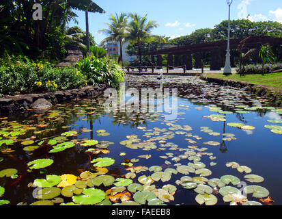 Zierfische Teich des Jardins de Pa'ofa' ich (Garten der Paofai) in Papeete, Französisch-Polynesien. Stockfoto