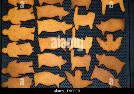 Neu hausgemachte Lebkuchen-Figuren auf ein Backblech legen Stockfoto