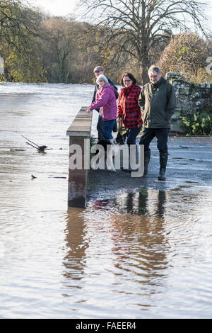 Kelso, Schottland, Hochwasser des Tweed auf 6. Dezember 2015, das erste Wasser Ebene steigen von einem Winter anfällig für Überflutungen Stockfoto