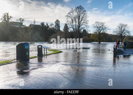 Kelso, Schottland, Hochwasser des Tweed auf 6. Dezember 2015, das erste Wasser Ebene steigen von einem Winter anfällig für Überflutungen Stockfoto