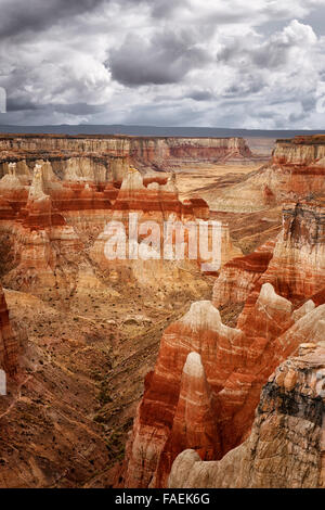 Gewitter über die hoch aufragenden Hoodoos im remote Coal Mine Canyon auf Navajo Land im nördlichen Arizona Coconino County zu bauen. Stockfoto