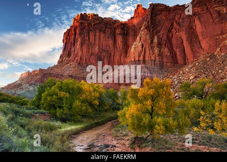 Letzten Licht auf Capitol Reef National Park in Utah mit Mondaufgang über der Fremont River und Herbst Pappeln unten ändern Stockfoto