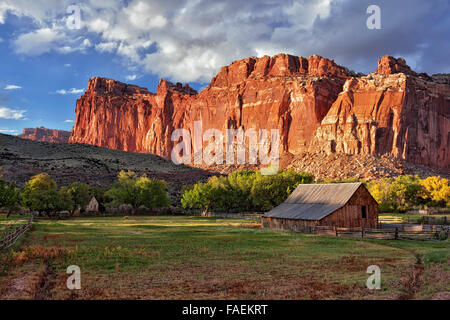 Die Wärme des Herbstes Abendlicht auf der historischen Fruita Kolonie im Capitol Reef National Park in Utah. Stockfoto