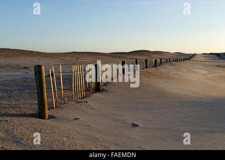 Dünenzaun auf der Insel Assateague im späten Nachmittagssonne. Stockfoto