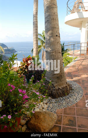 Acapulco, Mexiko: Ariden Tropengarten und Bürgersteig mexikanischen Zuhause. Stockfoto