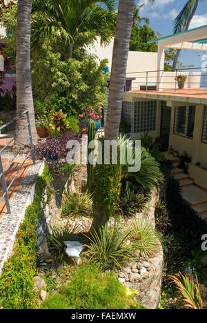 Acapulco, Mexiko: Ariden Tropengarten und Bürgersteig mexikanischen Zuhause. Stockfoto