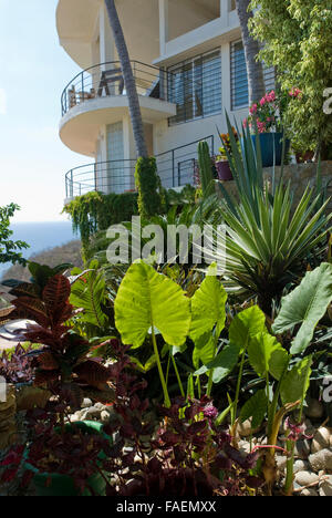 Acapulco, Mexiko: Ariden Tropengarten und Bürgersteig mexikanischen Zuhause. Stockfoto