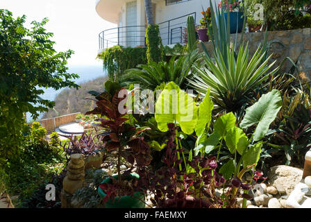 Acapulco, Mexiko: Ariden Tropengarten und Bürgersteig mexikanischen Zuhause. Stockfoto