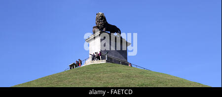 Die Statue eines Löwen auf der Löwen Hügel gebaut, auf dem Schlachtfeld von Waterloo. Stockfoto