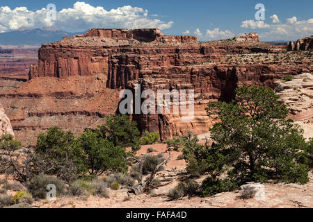 Shafer Canyon Overlook, Landschaft, Felsformationen, Insel im Himmel, Canyonlands National Park, Utah, USA Stockfoto