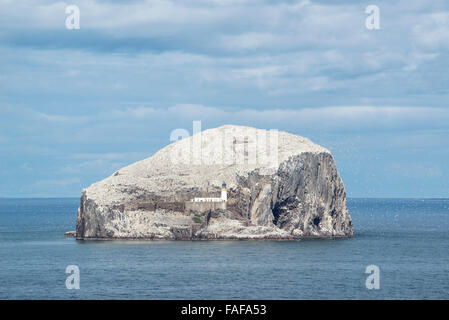 Bass Rock, Vulkangestein und Tölpelkolonie in den Firth of Forth in North Berwick, East Lothian, Schottland, Vereinigtes Königreich Stockfoto