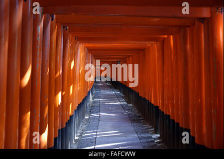 Meilen von roten Torii im Fushimi Inari-Taisha-Schrein in Kyoto Stockfoto