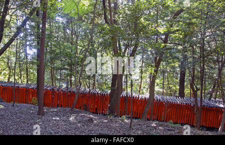 Meilen von roten Torii am Fushimi Inari-Taisha Schrein schlängeln sich ihren Weg durch den Wald in Kyoto Stockfoto