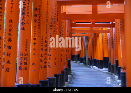 Meilen von roten Torii im Fushimi Inari-Taisha-Schrein in Kyoto Stockfoto