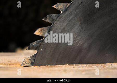 Alte rostige scharfe Kreissäge klingen Closeup ausgeschaltet Stockfoto