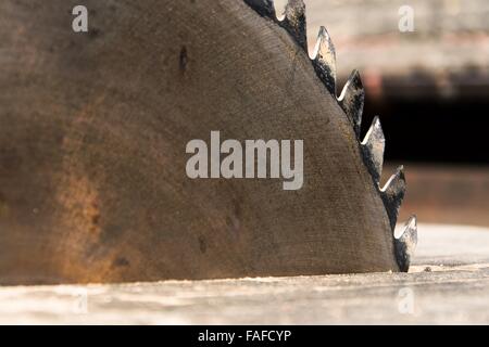 Alte rostige scharfe Kreissäge klingen Closeup ausgeschaltet Stockfoto