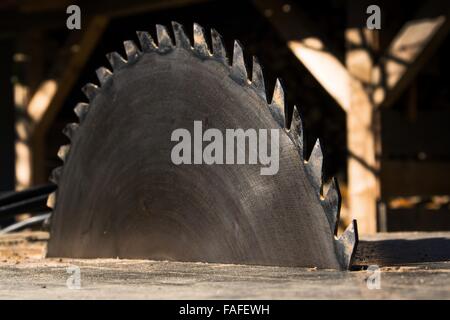 Alte rostige scharfe Kreissäge klingen Closeup ausgeschaltet Stockfoto