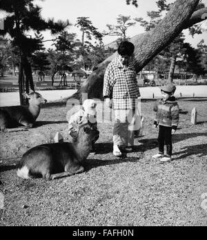 Eine Mutter freu Mit Dachmarke Kleinen Sohn Den Wildpark in Nara, Japan 1960er Jahre. Eine Mutter und ihr Sohn besucht ein Wildpark in Nara, Japan der 1960er Jahre. Stockfoto