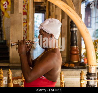 Hornist in traditioneller Kleidung bei der Schlagzeugern Innenhof der Tempel des Zahns, Kandy, Sri Lanka Stockfoto