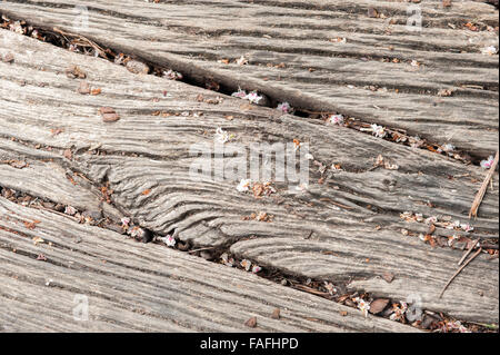 Nahaufnahme von Alter Holzboden Nut Textur Stockfoto