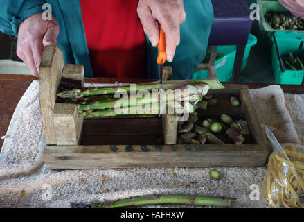 Feine englische Spargelstangen in vorbereitet werden Fett Trauben bereit zum Verkauf Stockfoto
