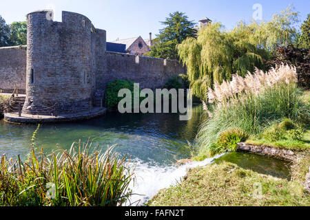 Wasser aus den Quellen fließt in den Graben rund um den Bischofspalast in der Domstadt von Wells, Somerset UK Stockfoto