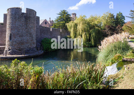 Wasser aus den Quellen fließt in den Graben rund um den Bischofspalast in der Domstadt von Wells, Somerset UK Stockfoto