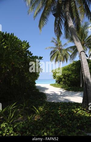 Blick durch Palmen, Strand und Meer auf Velassaru exotischen Insel auf den Malediven Stockfoto