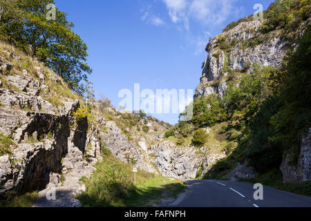 Cheddar Gorge - eine Kalkstein-Schlucht in den Mendip Hills, Cheddar, Somerset UK Stockfoto