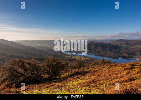 Lakeside und Sommer Haus Knott gesehen von Gummer wie in der Nähe von Newby Brücke, Lake District, Cumbria Stockfoto