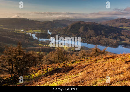 Lakeside und Sommer Haus Knott gesehen von Gummer wie in der Nähe von Newby Brücke, Lake District, Cumbria Stockfoto