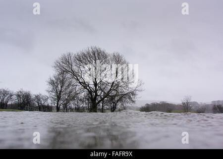 Überfluteten Land und Straßen in Wensleydale, North Yorkshire, UK. Stockfoto