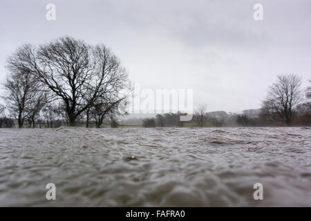 Überfluteten Land und Straßen in Wensleydale, North Yorkshire, UK. Stockfoto