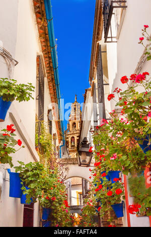 Flower Street Calleja de Las Flores alten Torre del Alminar Glockenturm Mezquita Cordoba Andalusien Spanien.  Mezquita in 785 erstellt Stockfoto