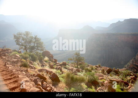 Grand-Canyon-Nationalpark, bright Angel trail Stockfoto