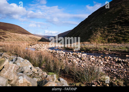 Einen Blick talaufwärts Langden im Wald von Bowland, Lancashire, England Stockfoto