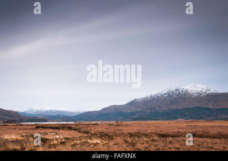 Südende des Loch Shiel, Claish Moos im Vordergrund und Beinn Resipol auf der rechten Seite des Bildes, Sunart, Schottland. Stockfoto