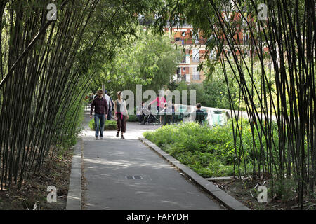 Ein Bambushain auf der Promenade Plantee, Paris. (Eine stillgelegten Eisenbahnstrecke verwandelte sich in einen angelegten Wanderweg.) Stockfoto