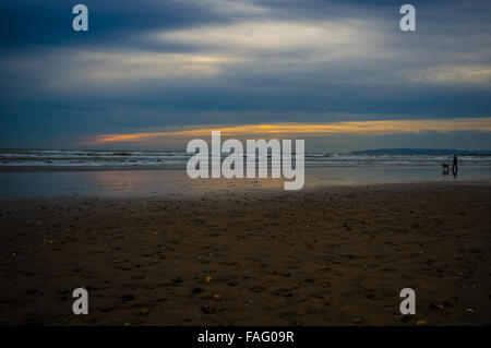 Einsamer Hundeschlittenspaziergang am Camber Sands Beach im Dorf Camber (in der Nähe von Rye), East Sussex, England. Sanddünen-System Stockfoto